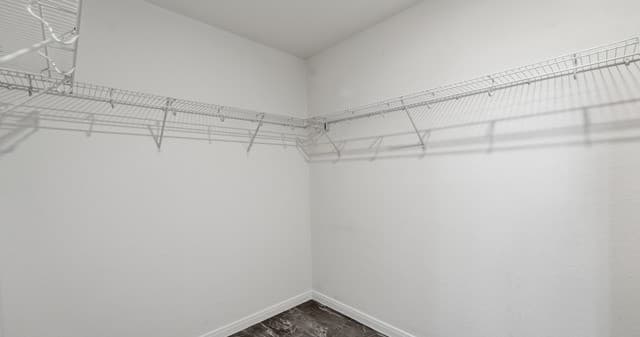 4925  Hallies Garden, St Hedwig, TX 78152 — photo 18