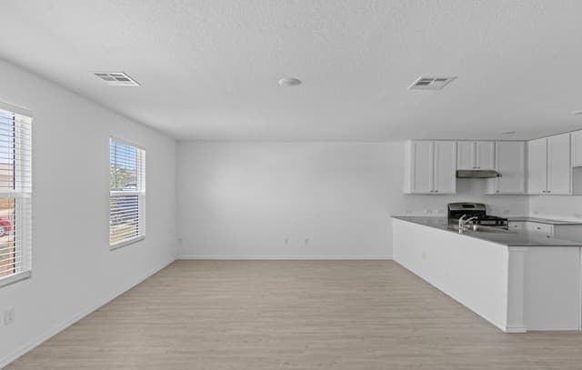 8623  Astral Pl, San Antonio, TX 78252 — photo 6