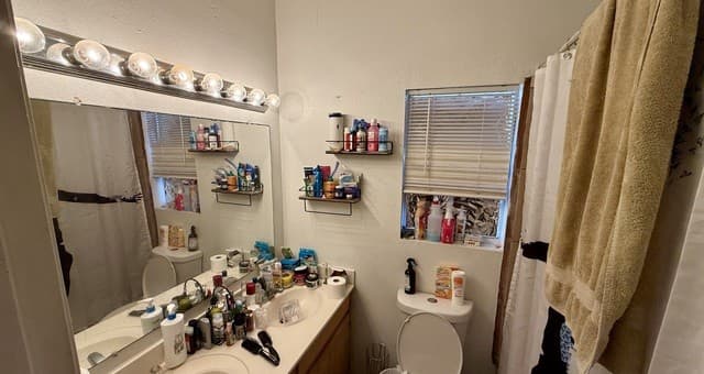 211  Rehmann, San Antonio, TX 78204 — photo 12