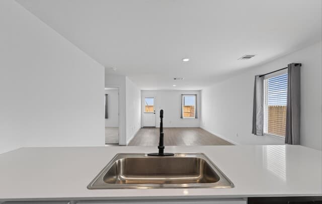 11625  Dog Rose, Converse, TX 78109 — photo 10