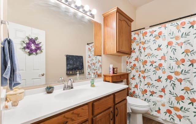 3827  Mistflower Dr, Converse, TX 78109 — photo 12