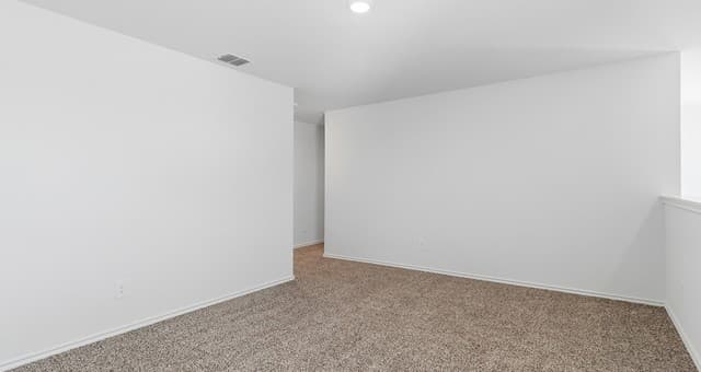 15414  Lemon Pepper Creek, Von Ormy, TX 78073 — photo 20