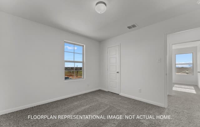 17308  Elder Walnut Dr, Elmendorf, TX 78112 — photo 13
