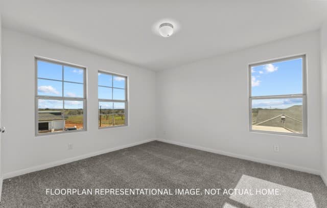 17308  Elder Walnut Dr, Elmendorf, TX 78112 — photo 19