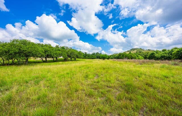 147  Gray Wolf, Blanco, TX 78606 — photo 8