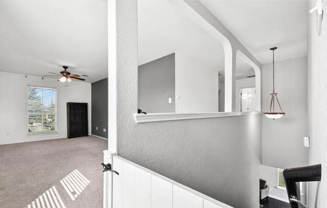 715  Eagles Gln, Schertz, TX 78108 — photo 20