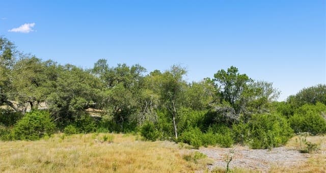 1007  Deer Run Pass, Canyon Lake, TX 78133 — photo 12