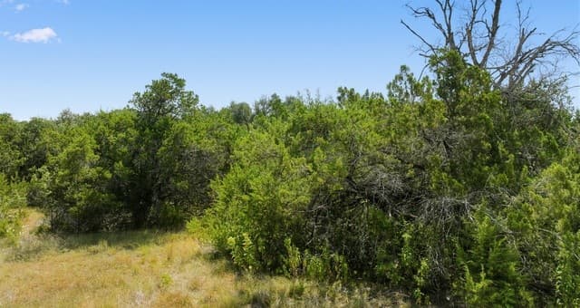 1007  Deer Run Pass, Canyon Lake, TX 78133 — photo 3