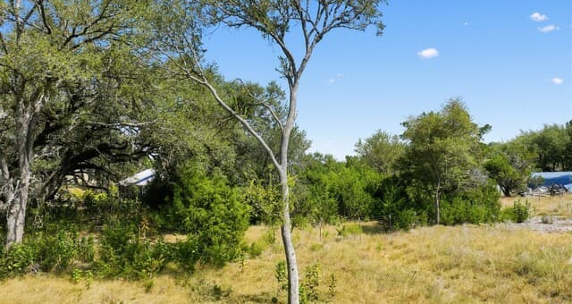 1007  Deer Run Pass, Canyon Lake, TX 78133 — photo 4