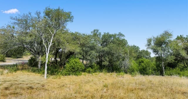 1007  Deer Run Pass, Canyon Lake, TX 78133 — photo 9