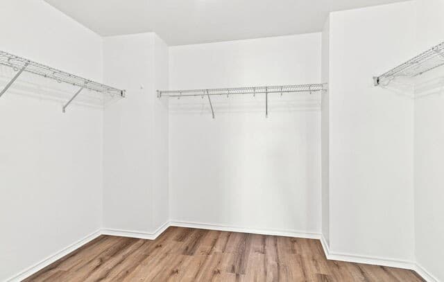 934  MAGNOLIA Summit, San Antonio, TX 78251 — photo 24