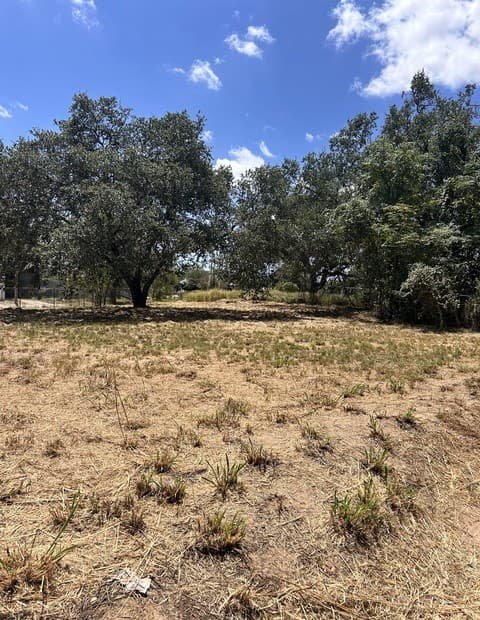 TBD TRADE  Trade, Pleasanton, TX 78064 — photo 2