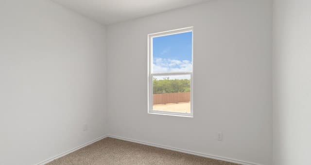 3419  Mulberry Grove, San Antonio, TX 78264 — photo 23