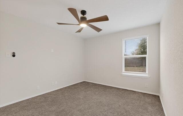 1035  Cozumel Emerald, San Antonio, TX 78253 — photo 15