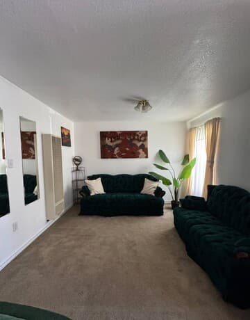 1015 W Amber, San Antonio, TX 78221 — photo 3