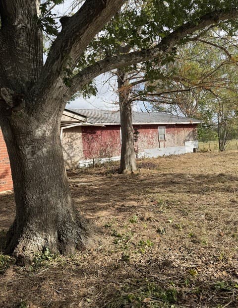 415  Se Main St, Stockdale, TX 78160 — photo 15