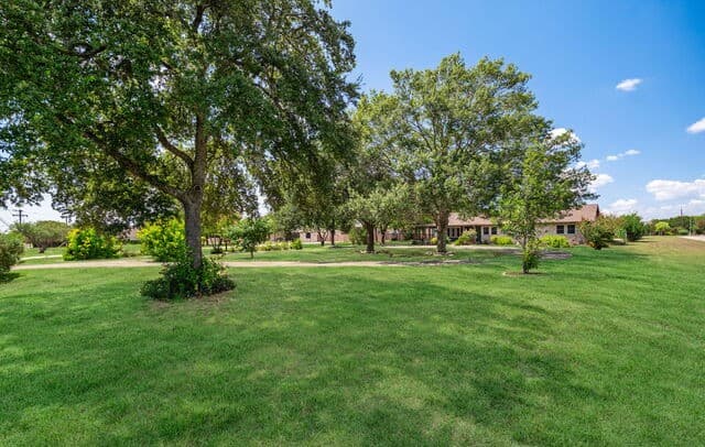 1033 E Live Oak, Schertz, TX 78154 — photo 6