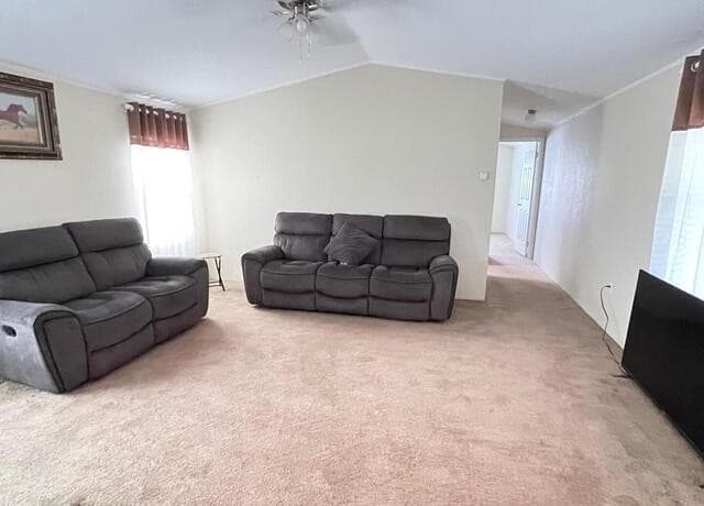 13808-II  Greenwood, Atascosa, TX 78002 — photo 13