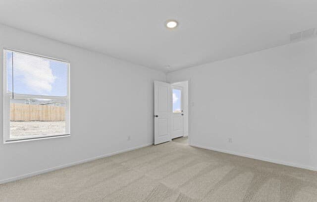706  Thea Mdws, Marion, TX 78124 — photo 8