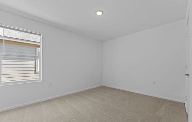 10515  Red Shiner Dr, San Antonio, TX 78224 — photo 14