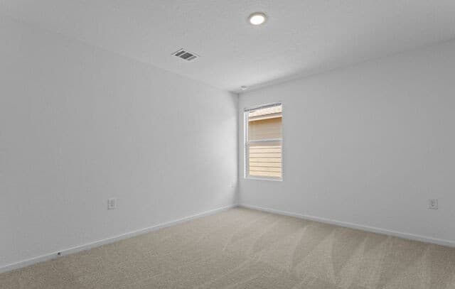 10515  Red Shiner Dr, San Antonio, TX 78224 — photo 15
