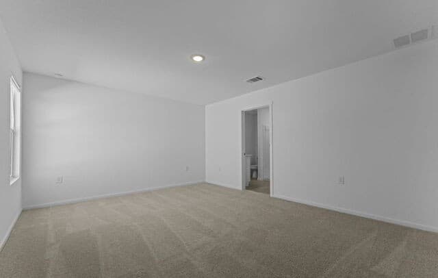 10515  Red Shiner Dr, San Antonio, TX 78224 — photo 20