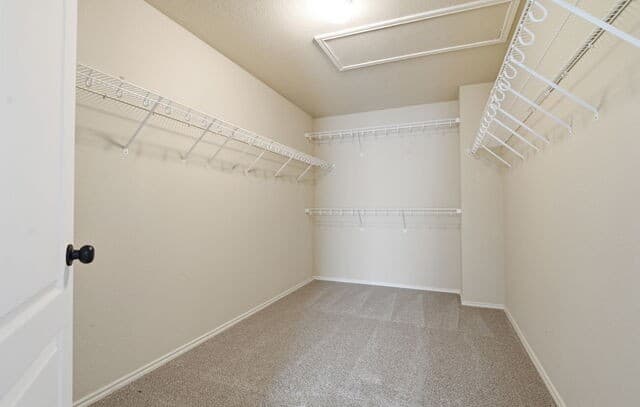 113  Earhart Ln, Cibolo, TX 78108 — photo 24