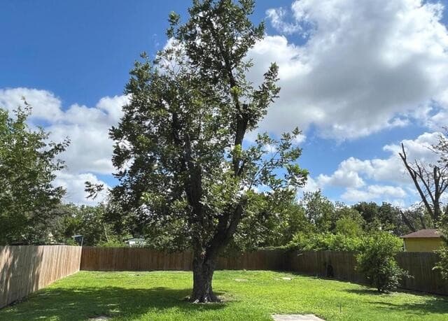 1431  Delgado St, San Antonio, TX 78207 — photo 17