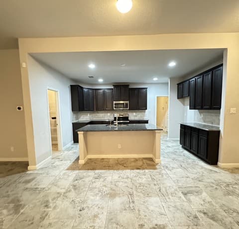 4576 Scots Elm