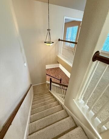 1015  Iris Path, San Antonio, TX 78245 — photo 25