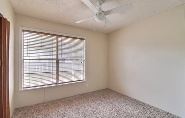 119  Langford Pl, San Antonio, TX 78221 — photo 14