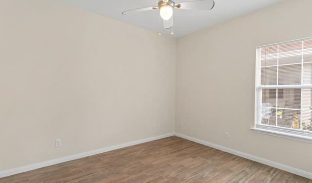 2239  Cotton, New Braunfels, TX 78130 — photo 14