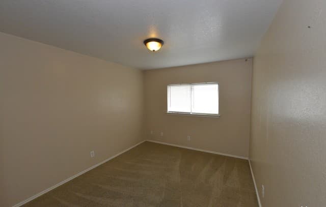 7239  Dwarf Palm, San Antonio, TX 78218 — photo 11