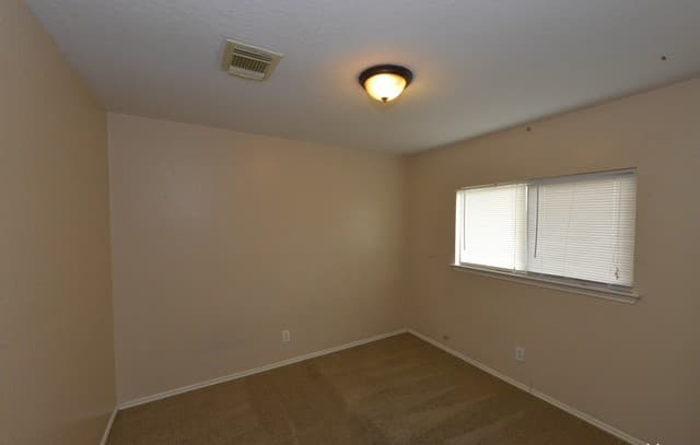 7239  Dwarf Palm, San Antonio, TX 78218 — photo 12