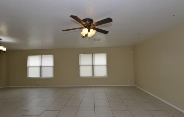7239  Dwarf Palm, San Antonio, TX 78218 — photo 2