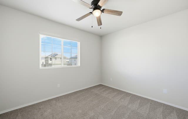 10234  Melissa Ranch Blvd, San Antonio, TX 78245 — photo 23
