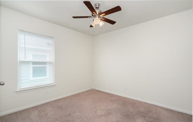 3923  Southton Vw, San Antonio, TX 78222 — photo 19