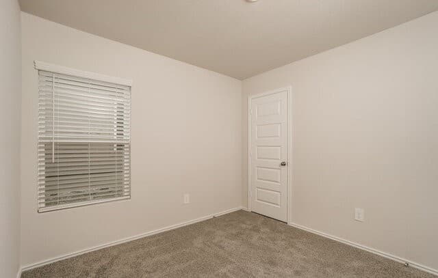 3325  Muenster Ave, New Braunfels, TX 78130 — photo 11