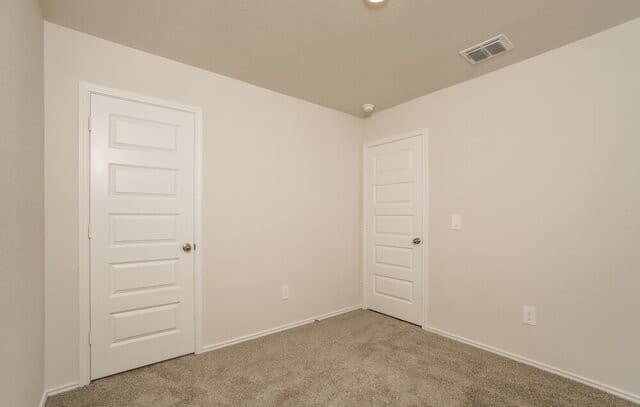 3325  Muenster Ave, New Braunfels, TX 78130 — photo 12