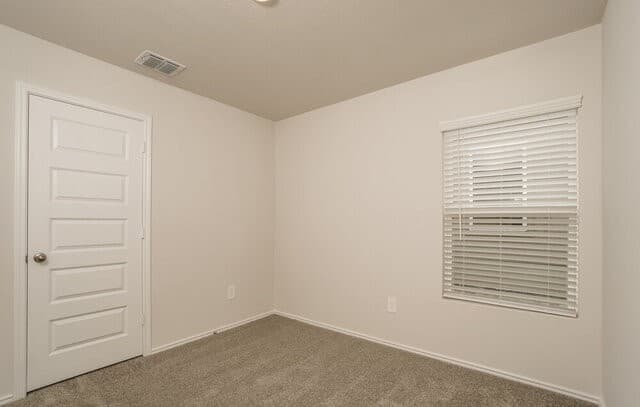 3325  Muenster Ave, New Braunfels, TX 78130 — photo 13