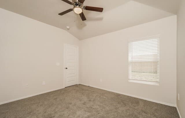3325  Muenster Ave, New Braunfels, TX 78130 — photo 9