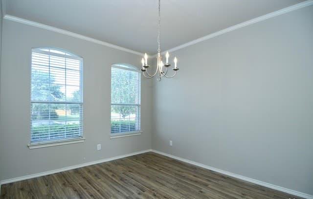 1209  Ruddy Duck, New Braunfels, TX 78130 — photo 13