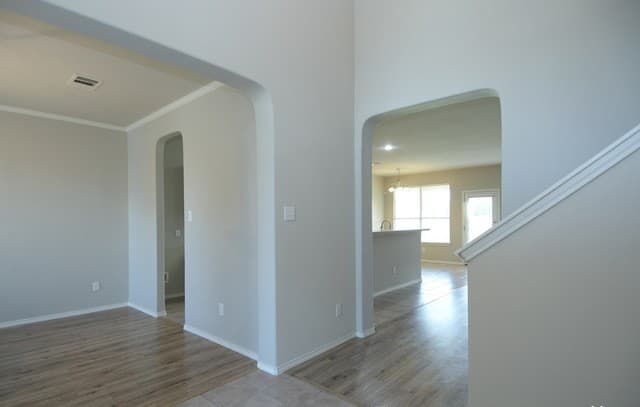 1209  Ruddy Duck, New Braunfels, TX 78130 — photo 17
