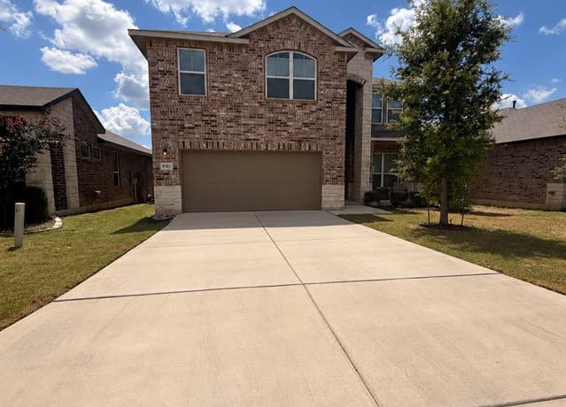 9583  Bicknell Sedge
