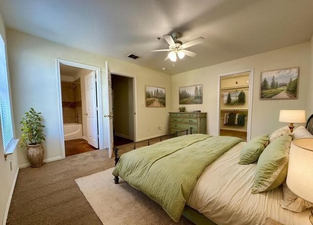 3119  Douglas Fir Dr, New Braunfels, TX 78130 — photo 6