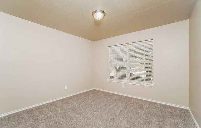 3415  Calico Cor, San Antonio, TX 78245 — photo 12