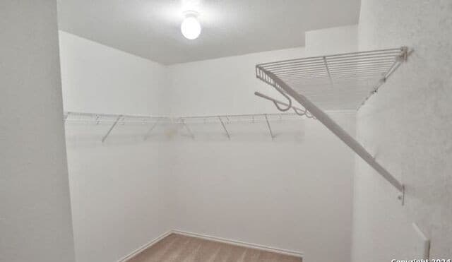 9814  Placid Bay, San Antonio, TX 78245 — photo 14