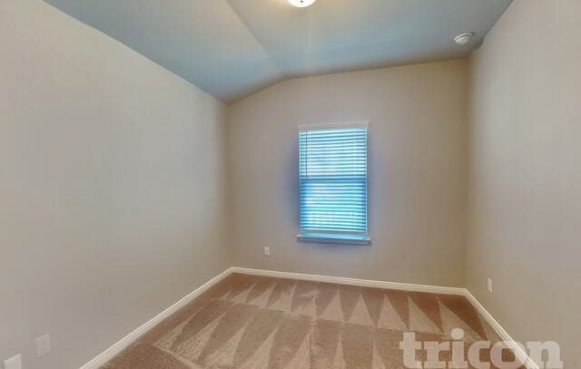 13685  Paxton, St Hedwig, TX 78152 — photo 9