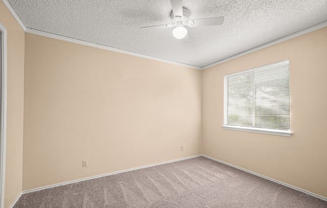 8726  Timber Range, San Antonio, TX 78250 — photo 19