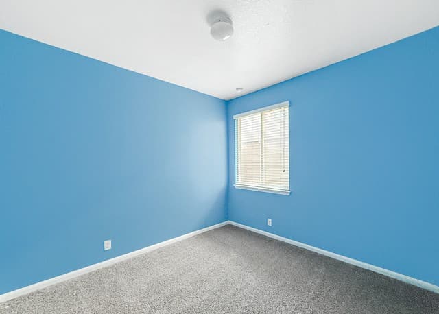 474  Centinela St, New Braunfels, TX 78130 — photo 10
